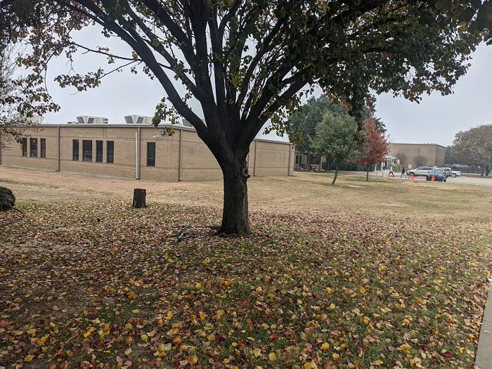 Coppell — photograph